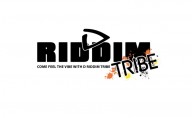 D Riddim Tribe Mas Band