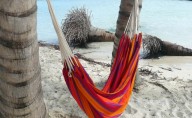 hammock by the ocean