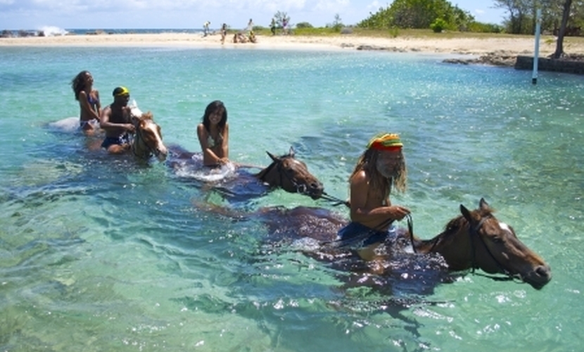 Jamaica Braco Stables