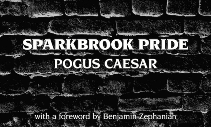 Sparkbrook Pride Pogus Caesar