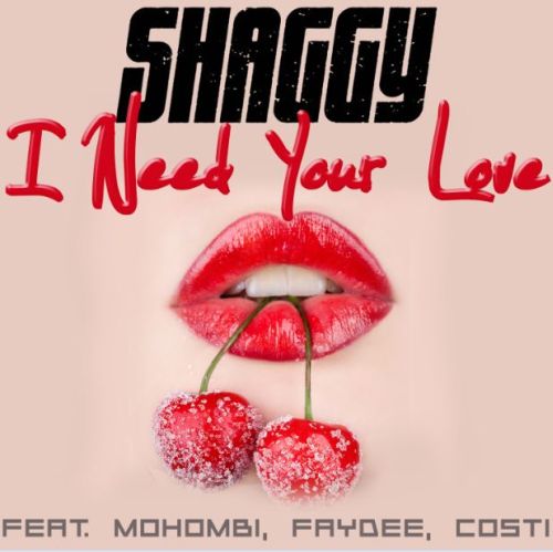 Shaggy Need Your Love feat. Mohombi, Faydee & Costi