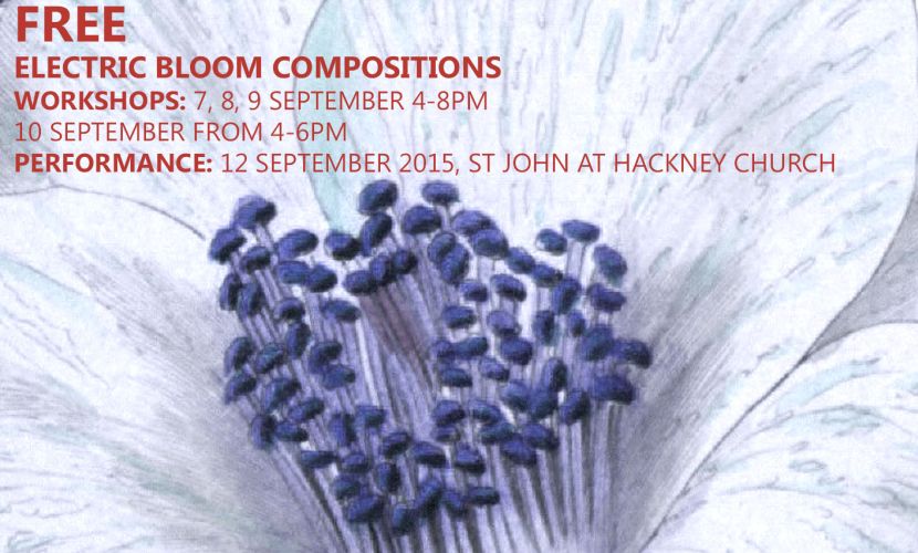 Electric Bloom Composition Workshop 2015