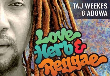 Taj Weeks & Adowa Love Herb Reggae